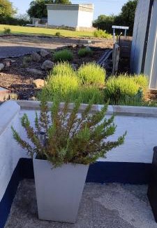 Milltown Apartment | The Bothy
