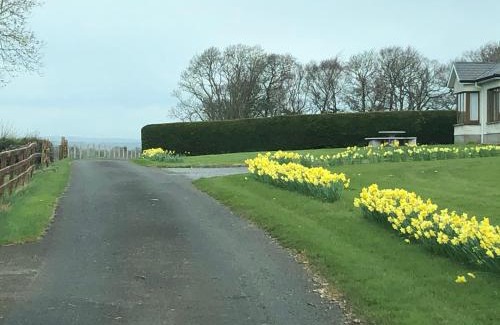 Callan House | The Bungalow Knockreagh Farm Kilkenny R95AX50