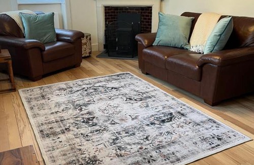 Dollar House | The Butlers Flat