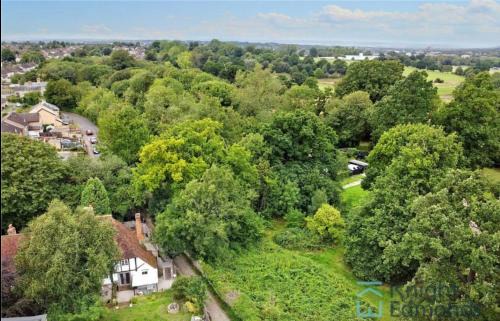 Maidstone House | The Buttery