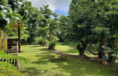 Mameyes I Apartment | The Casita Amarilla del Yunque