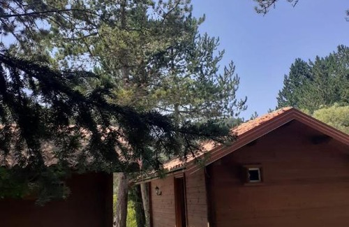 Llogara National Park Ski Chalet | The Chalet, Iliria Llogora