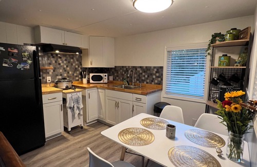 Fayetteville House | The Chestnut-mid century modern home on the NRG NP