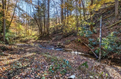 Slade Cabin | The Cliffs Cabin LUX,exclusive stay, wifi, hot tub