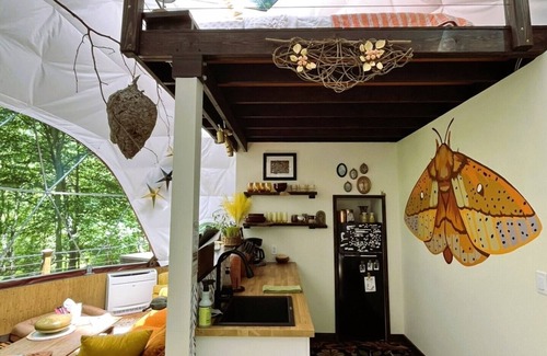 New Plymouth Cabin | The Cocoon- Magical Glamping Dome in the Forest!
