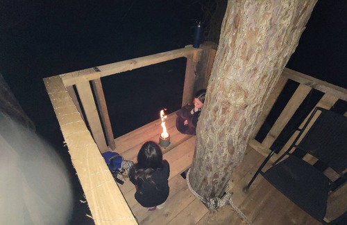 Diggs Cabin | The Farm Overlook Treehouse At Blanchard Farm