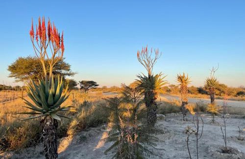 Grootfontein Bed & Breakfast | The Farm Shop