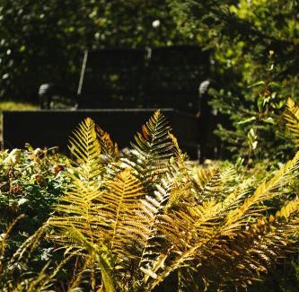 Chestertown Bed & Breakfast | The Fern Lodge
