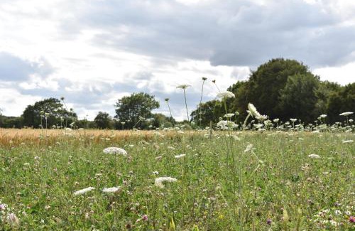Takeley House | The Fieldbarns at Bullocks Farm
