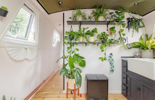 Hackney Wick Boat Rental | The Floating Terrarium