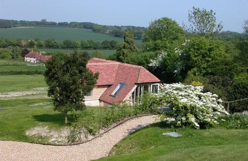Selborne House | The Garden Studio