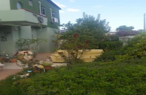 Arad Villa | The green music house