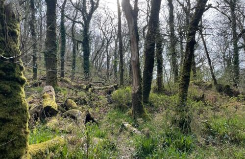 Withypool Bed & Breakfast | The Hayloft, Exmoor