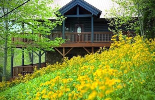 Alpendorf House | The Heartwood