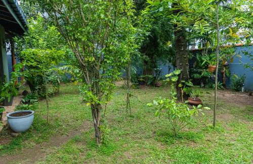 Sri Jayawardenepura Kotte House | The Hide