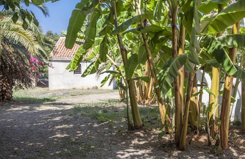 Sant'Agata di Militello House | The house of the Bouganvilles