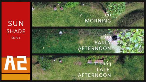 Pong Yaeng Other | The Hunting Rat Campsite