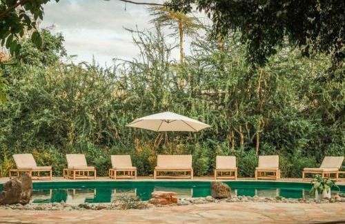 Mto wa Mbu Cabin | The Jungle Pearl Resort