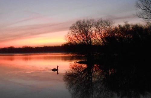 Craigavon Villa | THE LAKE HOUSE: a delightful and peaceful retreat.
