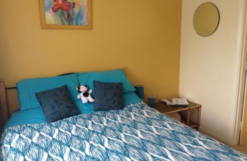 Murchison Hostel | The Lazy Cow Accommodation