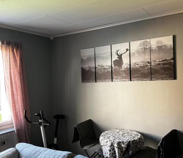 Saffle Municipality Apartment | The Lugnadalsgatan 3, 66131 Säffle welcomes you!