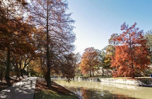 Arsenal Apartment | THE MADISON - San Antonio Riverwalk - Downtown - Convention Center