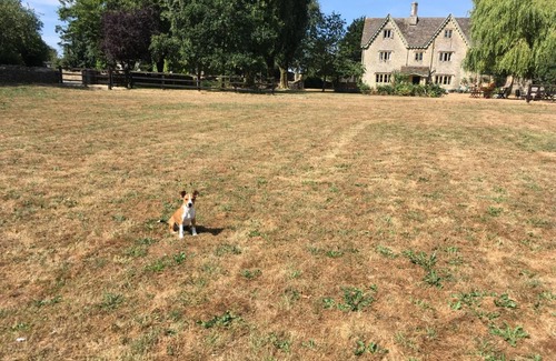 Luckington House | The Manor Farm Alderton