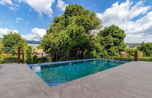 New Kingston Apartment | The Millennial Place