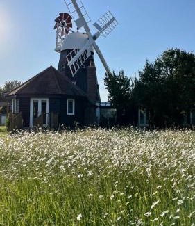 Swaffham Prior House | The Millers Cottage