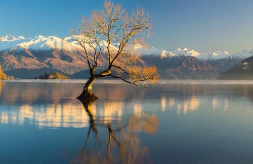 Wanaka Hotel | The Moorings Motel and Apartments
