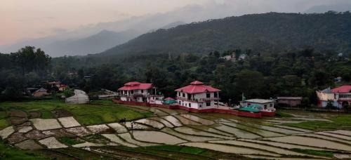 Sidhpur Sarkari Apartment | The Nest Farmstay
