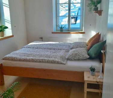 Egg Apartment | The Old School House