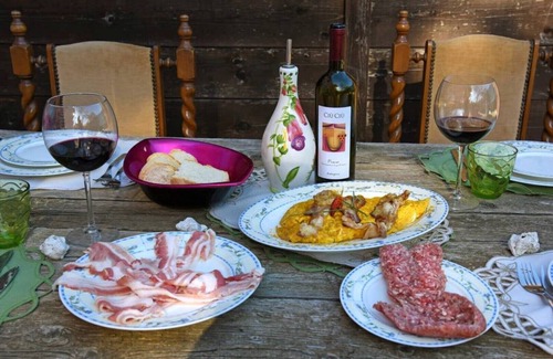Montelupone House | The Olive Garden Montelupone