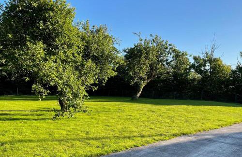 Garryvoe Bed & Breakfast | The Orchard Room