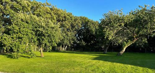 Garryvoe Bed & Breakfast | The Orchard Room