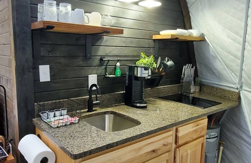 Rockbridge Cabin | The Penguin Geodesic dome " Igloo Vibes"