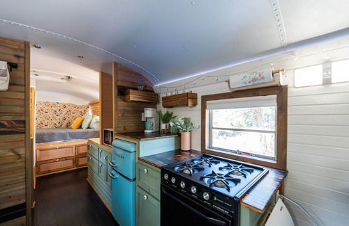 Ferndale House | The Pinnacle Mountain Bus Stop ~ Fire pit, Frisbee Golf, Baggo, Hammock