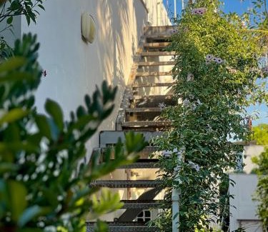 Kfar Blum Apartment | The Roof