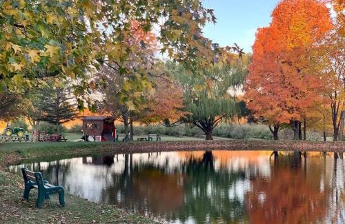 Ashtabula House | The Sansa Suite at Brants Apple Orchard