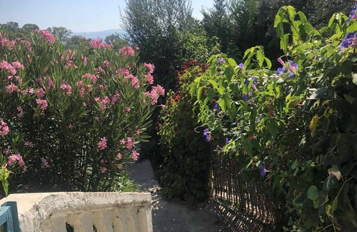 Cite Rmel House | The secret garden