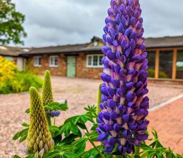 Northwich House | The Stables - Private room in a shared house - Guests only