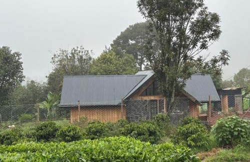 Nyeri County Ski Chalet | The T Cottage