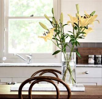 Kangaroo Valley House | The Tailor's Cottage Kangaroo Valley
