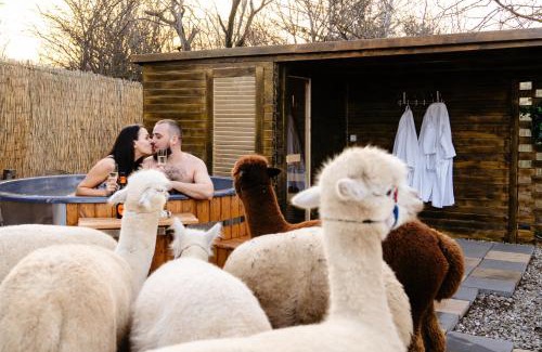 Branesti House | The Tribe Alpaca Retreat