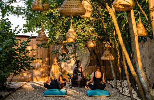 Branesti House | The Tribe Alpaca Retreat