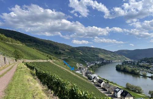 Merl Apartment | The Vineyard View