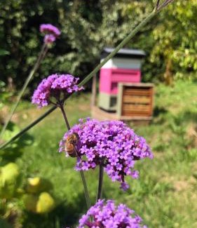 Vobster House | The Vobster Inn