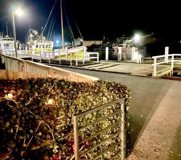 Port Fairy Apartment | The Waterfront Apartment