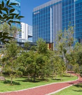 Santa Fe Hotel | The Westin Santa Fe, Mexico City