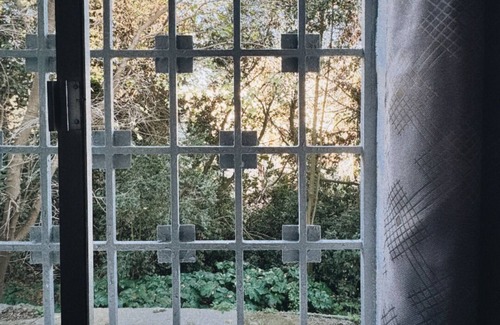 Algiers Apartment | The wild landmark